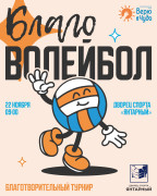 «Благоволейбол» в ДС "Янтарный"