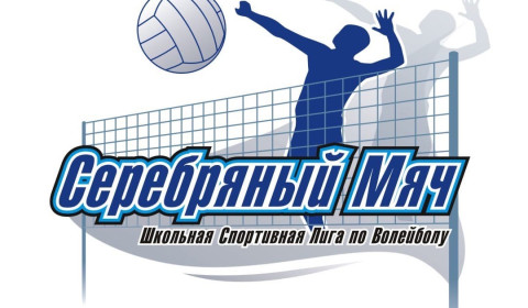 «Серебряный мяч»