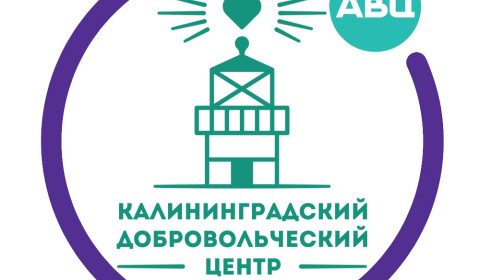 Областной добровольческий форум