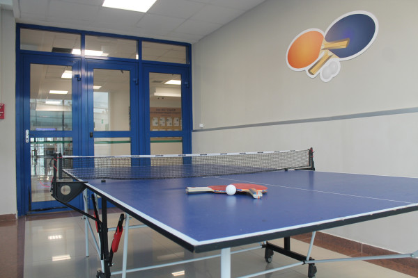 Аренда зала для настольного тенниса