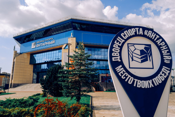 Аренда спортивных площадок