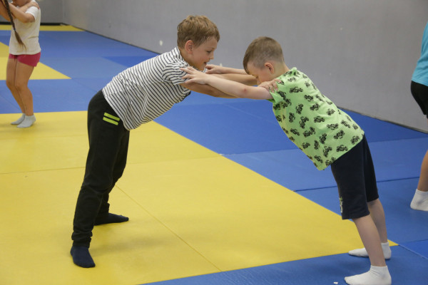 Федерации русского рукопашного боя