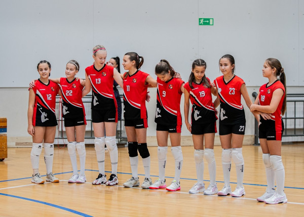 Спортивная школа олимпийского резерва по игровым видам спорта